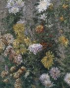Gustave Caillebotte White and yellow chrysanthemum oil painting artist